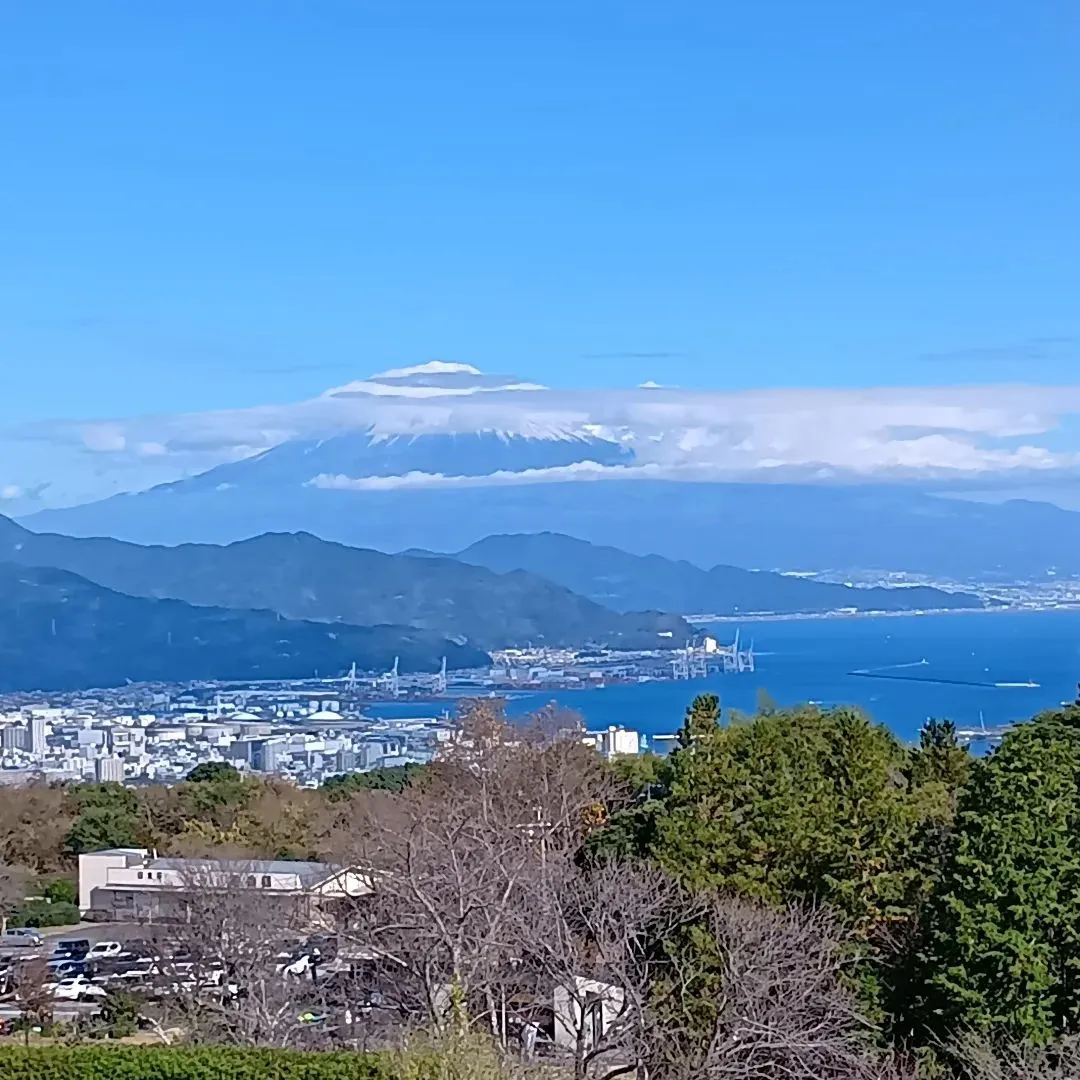 日本平からの富士