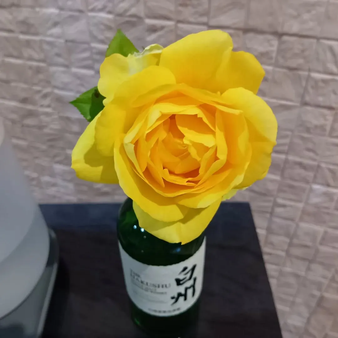 花の多いゴルフスクール